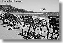 birds, black and white, chairs, europe, france, horizontal, nice, ocean, seas, photograph