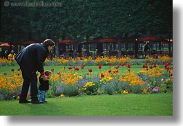 europe, fathers, flowers, france, horizontal, paris, red, sons, tulips, photograph