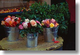 europe, flowers, france, horizontal, paris, pots, roses, silver, photograph