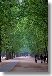 europe, flowers, france, paris, trees, tuilleries, tunnel, vertical, walk, photograph