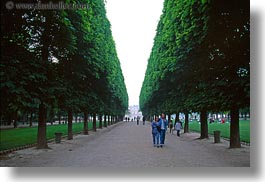 couples, europe, flowers, france, horizontal, paris, people, trees, tuilleries, tunnel, walk, photograph