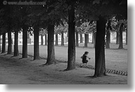 black and white, europe, flowers, france, horizontal, motion blur, paris, trees, tuilleries, tunnel, walk, photograph