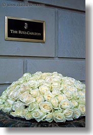 europe, flowers, france, hotels, paris, ritz, roses, signs, vertical, yellow, photograph