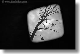 black and white, europe, france, horizontal, mirrors, paris, readview, trees, photograph