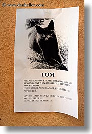 aix en provence, cats, europe, france, lost, provence, signs, tom, vertical, photograph