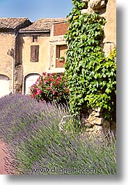 avignon, europe, france, houses, provence, vertical, photograph