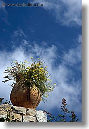 bargeme, blues, clouds, colors, europe, flowers, france, nature, provence, sky, vertical, yellow, photograph