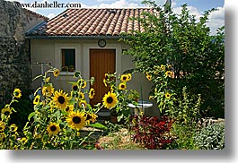 castellane, colors, europe, france, horizontal, houses, provence, sunflowers, yellow, photograph