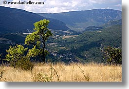 castellane, europe, france, horizontal, mountains, nature, plants, provence, scenics, trees, valley, photograph