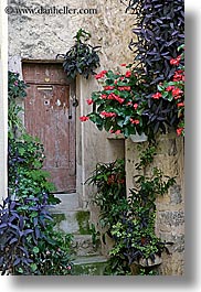 alleys, europe, fayence, flowers, france, provence, vertical, photograph