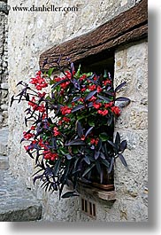europe, fayence, flowers, france, provence, vertical, windows, photograph
