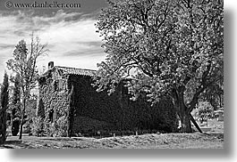 black and white, covered, europe, france, horizontal, houses, ivy, moustiers, provence, scenics, st marie, trees, photograph