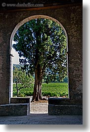 archways, colors, europe, france, green, nature, plants, provence, seillans, structures, trees, vertical, photograph
