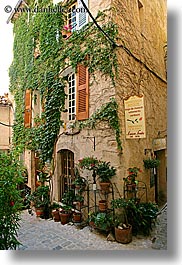 buildings, colors, covered, europe, france, green, ivy, nature, plants, potted, provence, seillans, vertical, photograph