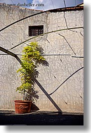 bright, europe, france, nature, plants, provence, shadows, st paul, trees, vertical, photograph