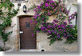 bougainvilleas, doors, europe, flowers, france, horizontal, materials, nature, provence, st paul, stones, photograph