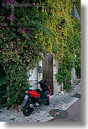 bougainvilleas, cobblestones, colors, europe, flowers, france, green, ivy, materials, motorcycles, nature, plants, provence, red, st paul, vertical, photograph