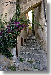 arches, archways, bougainvilleas, cobblestones, europe, flowers, france, materials, nature, provence, st paul, stairs, stones, structures, vertical, photograph