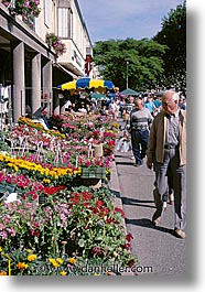 europe, flowers, france, market, provence, tarascon, vertical, photograph