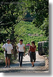 activities, clothes, europe, france, groups, hiking, jennifer marano, men, nature, people, plants, provence, sunglasses, tree tunnel, trees, vertical, walking, womens, photograph