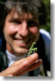 emotions, europe, fingers, france, groups, happy, mantis, men, nicos, people, provence, vertical, photograph
