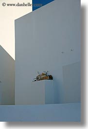 abstracts, amorgos, arts, europe, greece, ledge, stuff, vertical, photograph