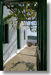 amorgos, covered, doors, doors & windows, europe, greece, green, open, patio, vertical, vines, white wash, photograph