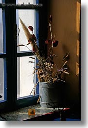 amorgos, dried, europe, flowers, greece, vertical, windows, photograph