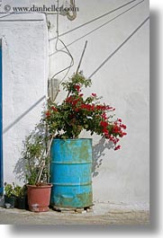amorgos, bougainvilleas, drums, europe, flowers, greece, red, steel, vertical, photograph