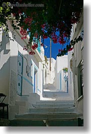 amorgos, bougainvilleas, europe, greece, stairs, vertical, white wash, photograph