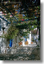 amorgos, canopy, europe, flowers, greece, shadows, stairs, vertical, photograph