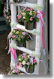 athens, baptism, colors, europe, flowers, greece, ladder, pink, vertical, white, photograph