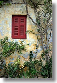 athens, europe, greece, green, ivy, red, vertical, walls, windows, yellow, photograph