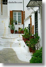 athens, europe, greece, plants, stairs, vertical, white wash, windows, photograph