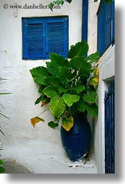 athens, blues, europe, greece, green, plants, pots, vertical, windows, photograph