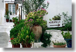 acropolis, athens, europe, greece, horizontal, plants, signs, photograph