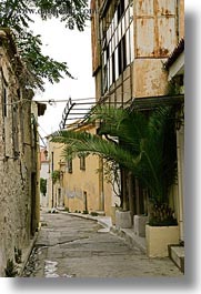 athens, europe, greece, narrow, palm trees, streets, vertical, photograph