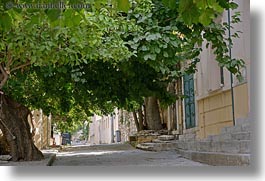 athens, canopy, europe, greece, horizontal, streets, trees, photograph