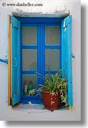 blues, europe, greece, mykonos, plants, spider, vertical, windows, photograph