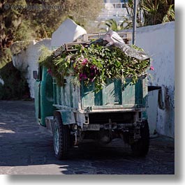 europe, flowers, greece, mykonos, square format, trucks, photograph
