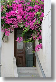 bougainvilleas, doors, doors & windows, europe, flowers, greece, nature, naxos, pink, stairs, vertical, photograph