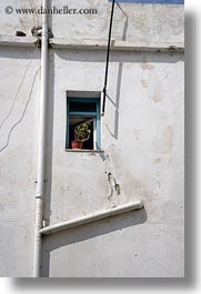 doors & windows, europe, greece, naxos, pipes, plants, tiny, vertical, white, white wash, windows, photograph