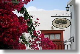 bougainvilleas, europe, flowers, greece, horizontal, nature, naxos, red, signs, photograph