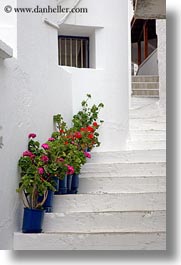 europe, flowers, greece, nature, naxos, potted, stairs, vertical, white wash, photograph