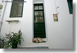 dogs, doors, europe, greece, green, horizontal, step, tinos, photograph