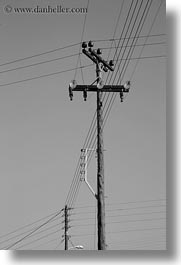 black and white, europe, greece, poles, telephones, tinos, vertical, wires, photograph