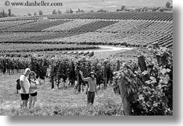 black and white, clothes, emotions, europe, from, groups, hats, horizontal, hungary, smiles, vineyards, waving, photograph