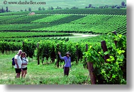 clothes, emotions, europe, from, groups, hats, horizontal, hungary, smiles, vineyards, waving, photograph