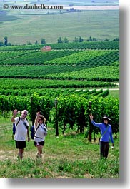 clothes, emotions, europe, from, groups, hats, hungary, smiles, vertical, vineyards, waving, photograph