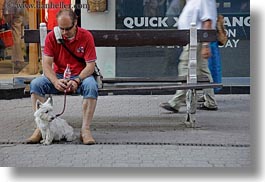 benches, budapest, dogs, europe, horizontal, hungary, men, people, photograph